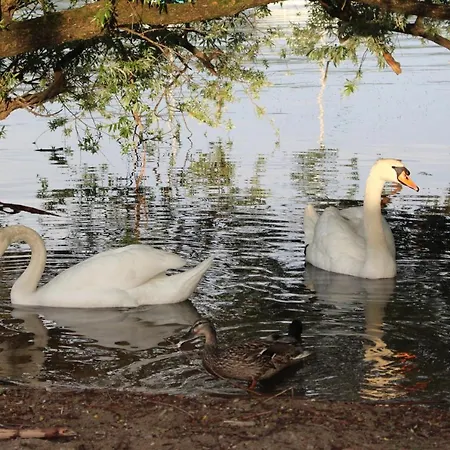 Meina - Lago Maggiore Lejlighed *